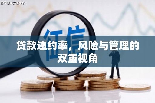 铜锣贷款违约率，风险与管理的双重视角