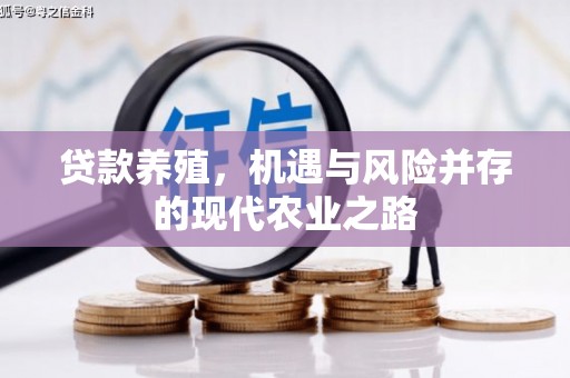 铜锣贷款养殖，机遇与风险并存的现代农业之路