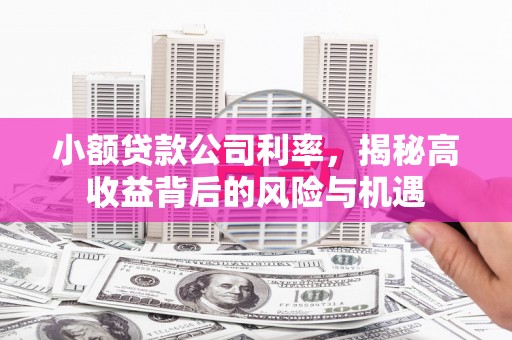 铜锣小额贷款公司利率，揭秘高收益背后的风险与机遇