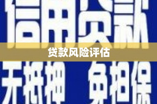 铜锣贷款风险评估