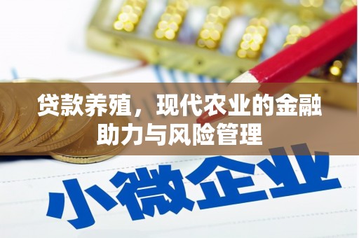 铜锣贷款养殖，现代农业的金融助力与风险管理