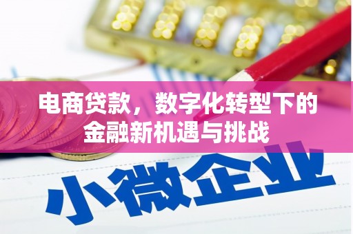 铜锣电商贷款，数字化转型下的金融新机遇与挑战