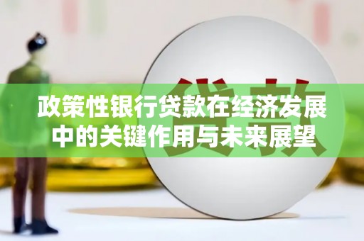 铜锣政策性银行贷款在经济发展中的关键作用与未来展望