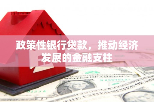 铜锣政策性银行贷款，推动经济发展的金融支柱