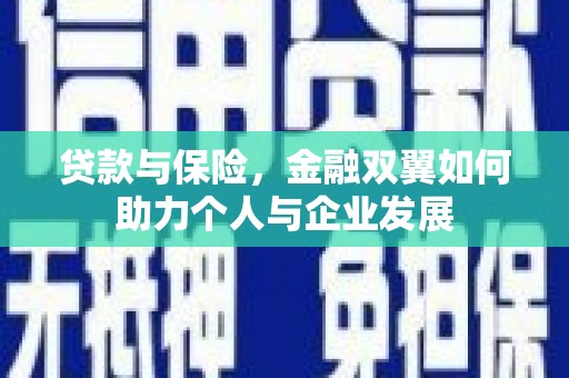 铜锣贷款与保险，金融双翼如何助力个人与企业发展