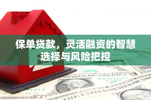 铜锣保单贷款，灵活融资的智慧选择与风险把控