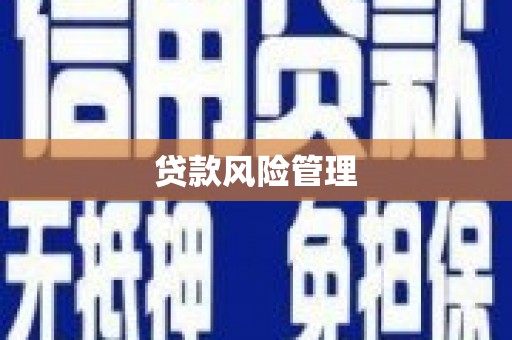 铜锣贷款风险管理