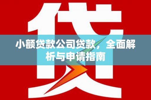 铜锣小额贷款公司贷款，全面解析与申请指南