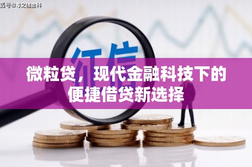 铜锣微粒贷，现代金融科技下的便捷借贷新选择