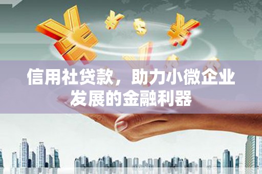 铜锣信用社贷款，助力小微企业发展的金融利器
