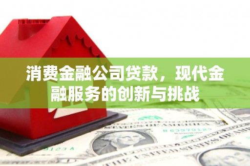铜锣消费金融公司贷款，现代金融服务的创新与挑战