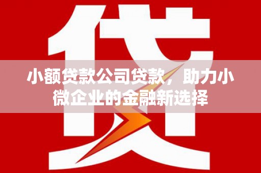 铜锣小额贷款公司贷款，助力小微企业的金融新选择