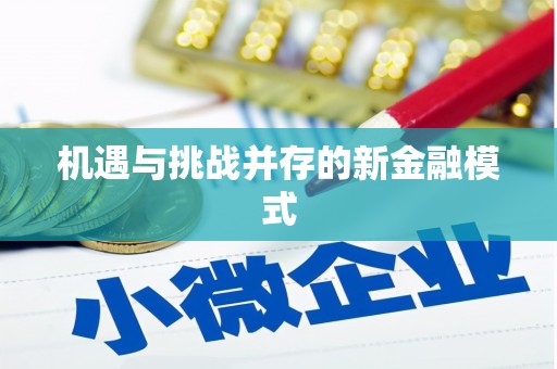 铜锣机遇与挑战并存的新金融模式