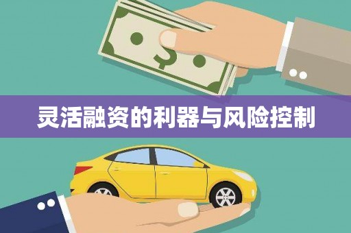 铜锣灵活融资的利器与风险控制