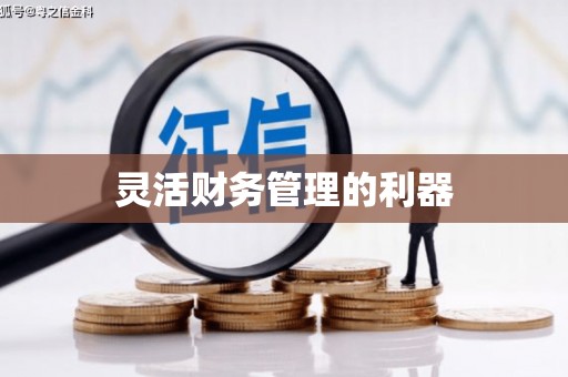 铜锣灵活财务管理的利器