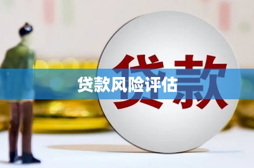 铜锣贷款风险评估