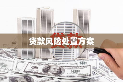铜锣贷款风险处置方案