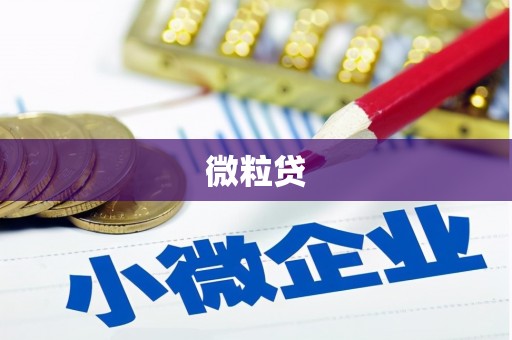 铜锣微粒贷