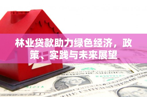 铜锣林业贷款助力绿色经济，政策、实践与未来展望