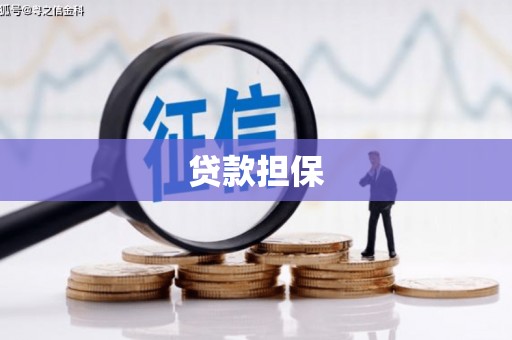 铜锣贷款担保