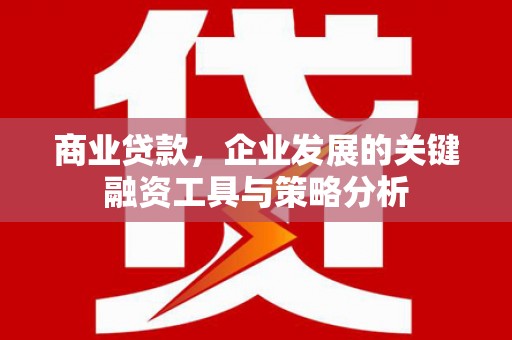 铜锣商业贷款，企业发展的关键融资工具与策略分析