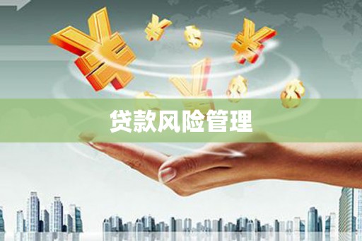 铜锣贷款风险管理