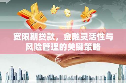 铜锣宽限期贷款，金融灵活性与风险管理的关键策略