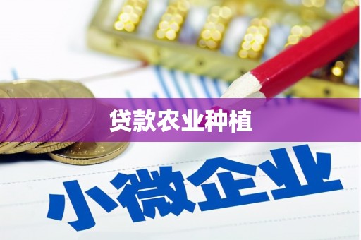 铜锣贷款农业种植