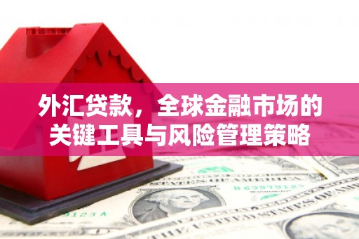 铜锣外汇贷款，全球金融市场的关键工具与风险管理策略
