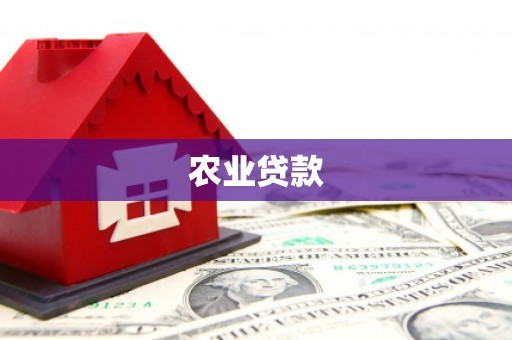 铜锣农业贷款