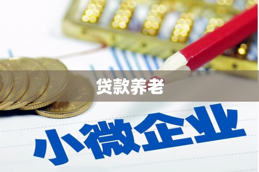 铜锣贷款养老