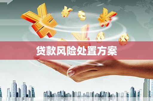 铜锣贷款风险处置方案