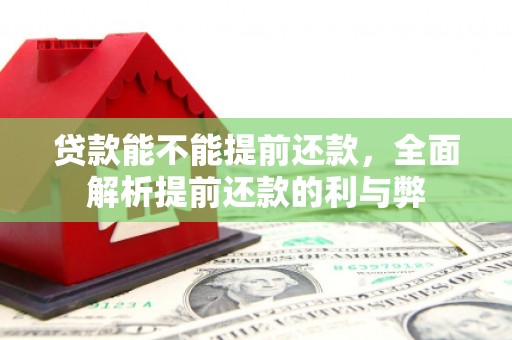 铜锣贷款能不能提前还款，全面解析提前还款的利与弊