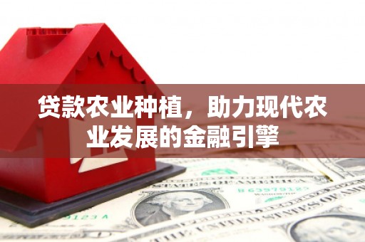 铜锣贷款农业种植，助力现代农业发展的金融引擎