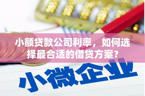 铜锣小额贷款公司利率，如何选择最合适的借贷方案？