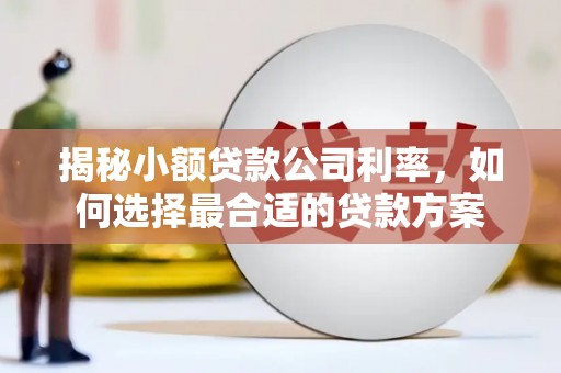 铜锣揭秘小额贷款公司利率，如何选择最合适的贷款方案
