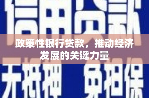 铜锣政策性银行贷款，推动经济发展的关键力量