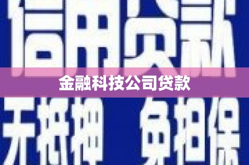 铜锣金融科技公司贷款