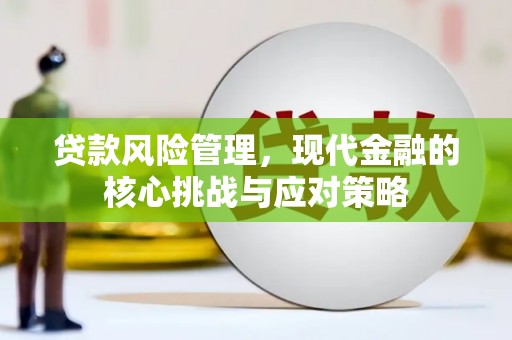 铜锣贷款风险管理，现代金融的核心挑战与应对策略
