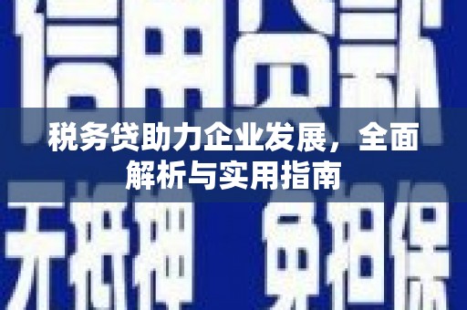 铜锣税务贷助力企业发展，全面解析与实用指南