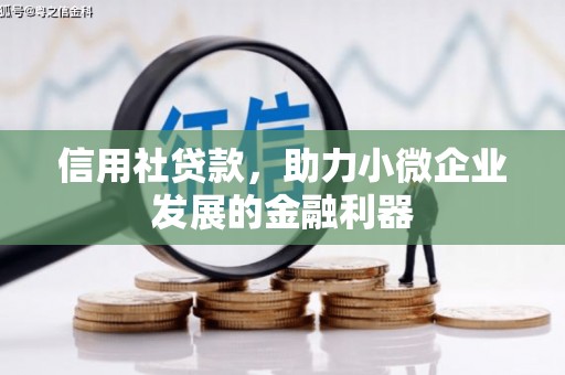 铜锣信用社贷款，助力小微企业发展的金融利器