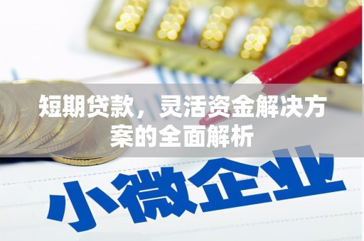铜锣短期贷款，灵活资金解决方案的全面解析