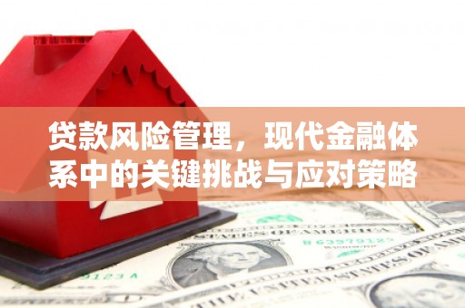 铜锣贷款风险管理，现代金融体系中的关键挑战与应对策略
