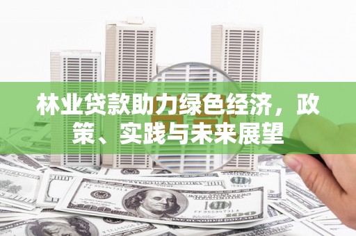 铜锣林业贷款助力绿色经济，政策、实践与未来展望