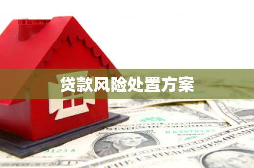 铜锣贷款风险处置方案