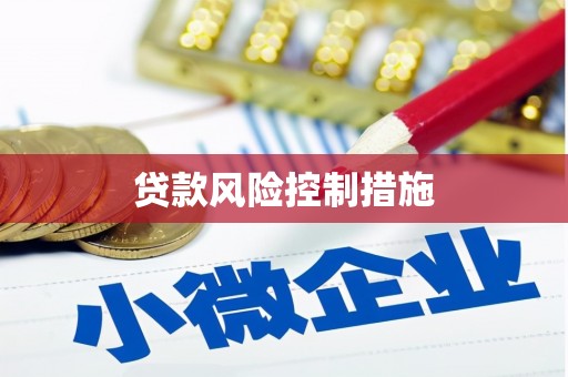 铜锣贷款风险控制措施
