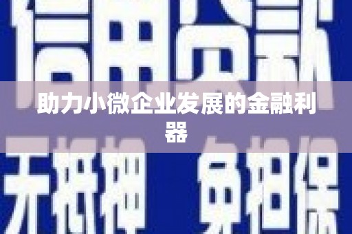 铜锣助力小微企业发展的金融利器