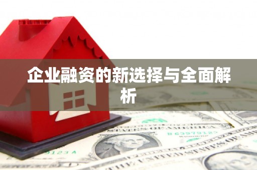 铜锣企业融资的新选择与全面解析
