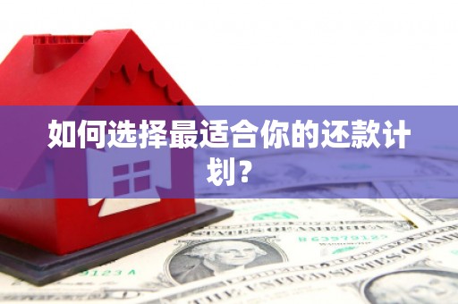 铜锣如何选择最适合你的还款计划？